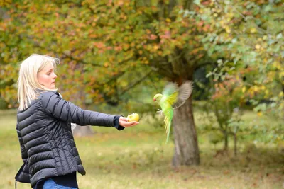 DSC_0502 (Large).JPG